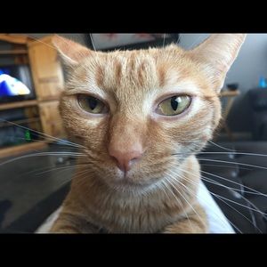 Meet your Posher, Brandy